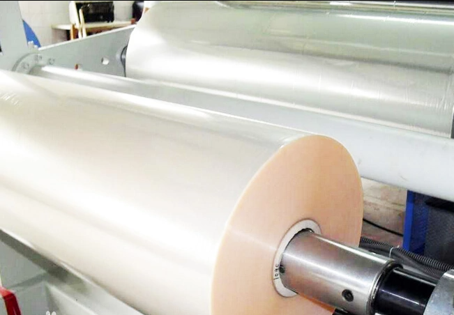 解析丨2022年全球PVA膜行业市场发展与预测